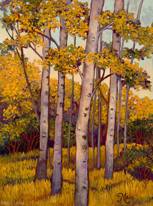 Quiet Aspens